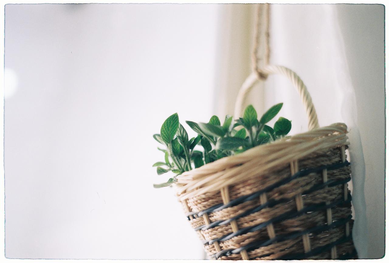Magari Homestay 호치민 외부 사진