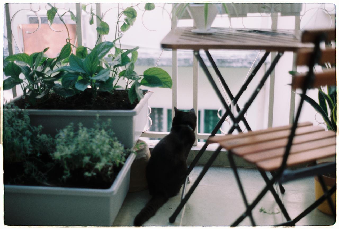 Magari Homestay 호치민 외부 사진